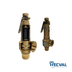 Válvula Seguridad Tecval VSGR
